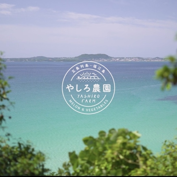 もっとわかる椿メロンの事