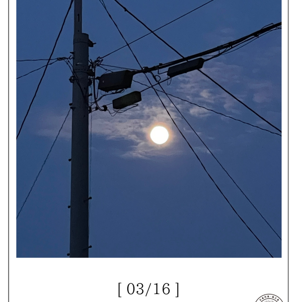 農業とワームムーン