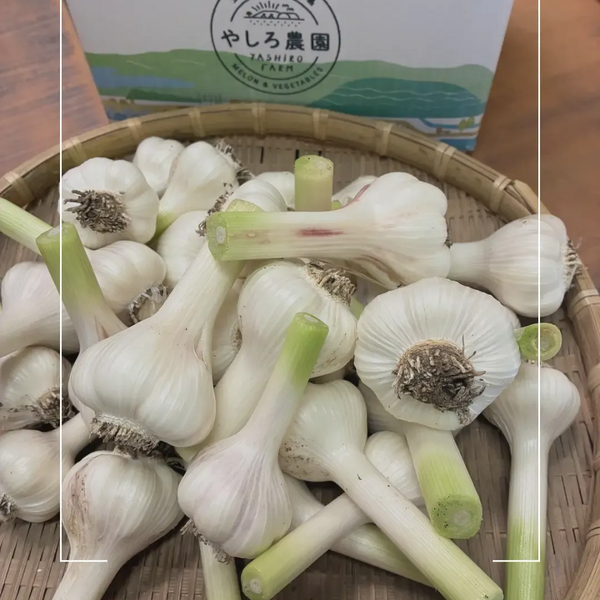 みずみずしい「生にんにく」の季節です | お知らせ - たべるとくらすと