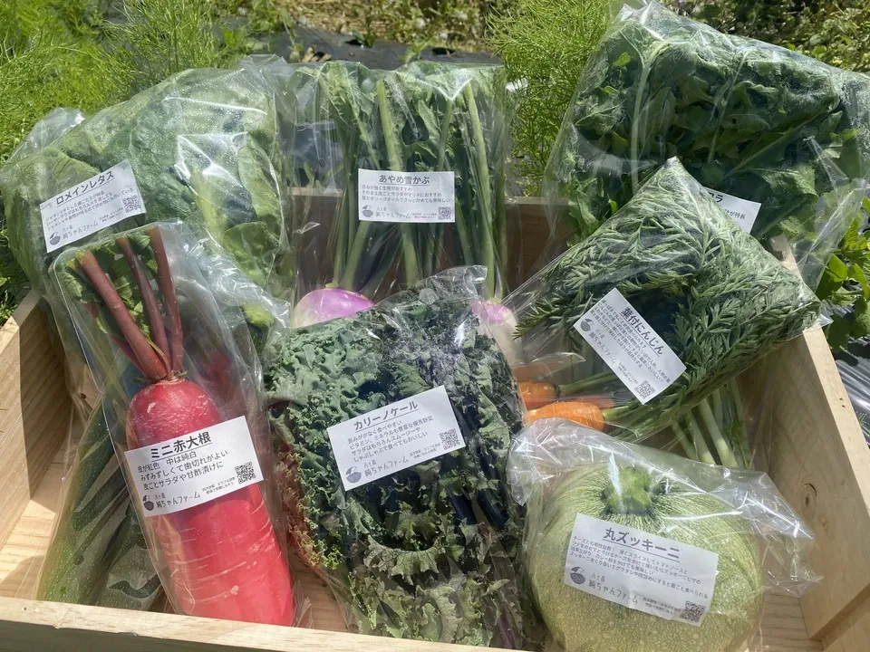 【八ヶ岳の麓で育てた季節の彩り野菜セット】農薬・化学肥料不使用（送料込み）