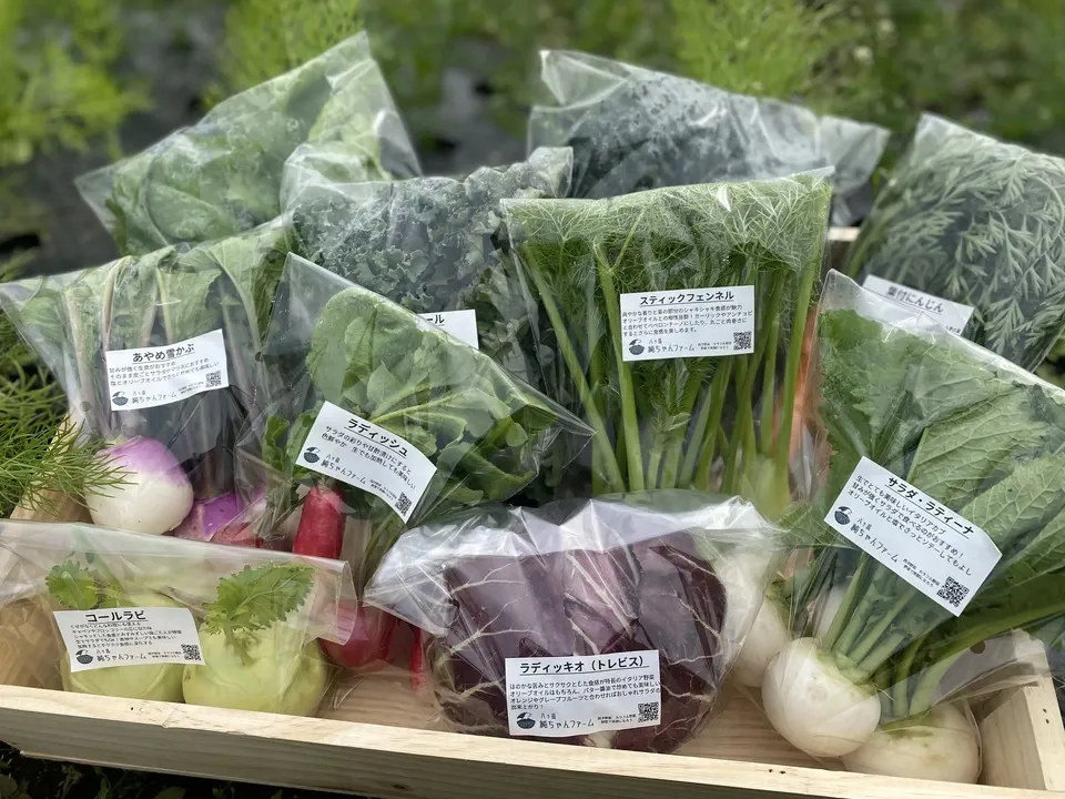 【八ヶ岳の麓で育てた季節の彩り野菜セット】農薬・化学肥料不使用（送料込み）
