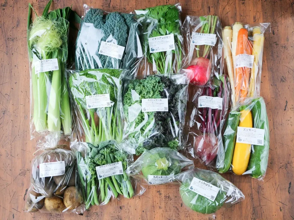 【八ヶ岳の麓で育てた季節の彩り野菜セット】農薬・化学肥料不使用（送料込み）