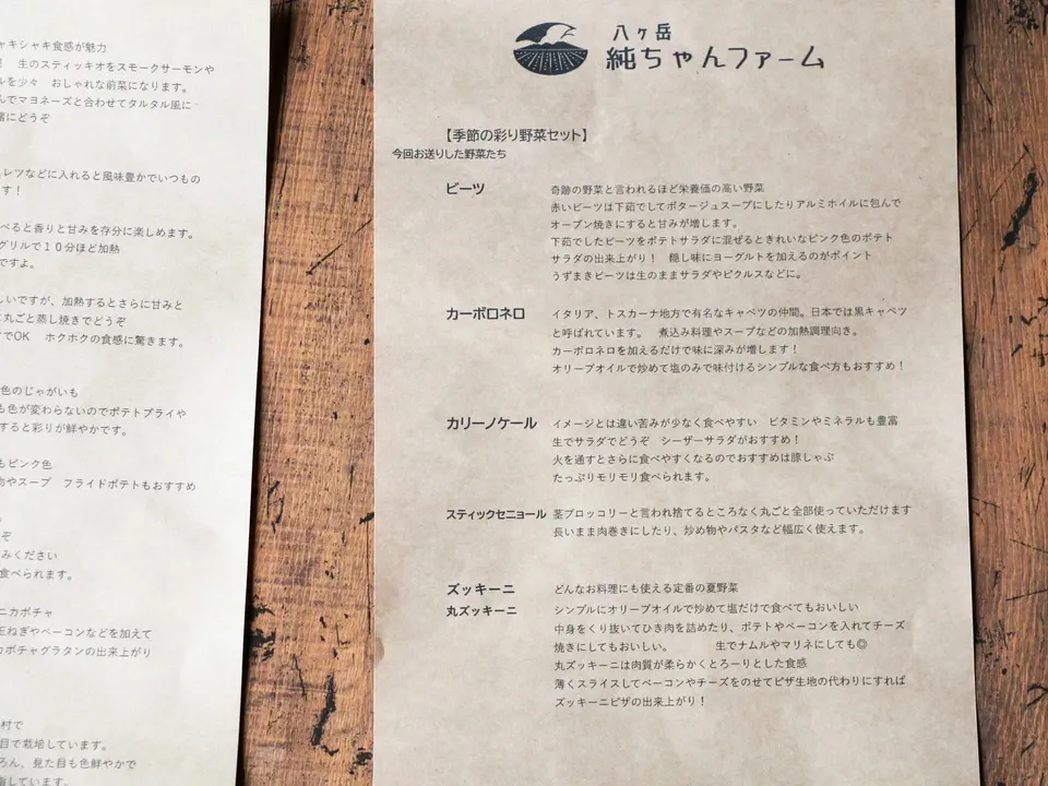 【八ヶ岳の麓で育てた季節の彩り野菜セット】農薬・化学肥料不使用（送料込み）
