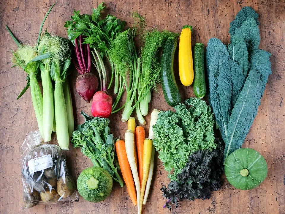 農薬や化学肥料を使わずにで育てた】季節の彩り野菜セット（送料込み