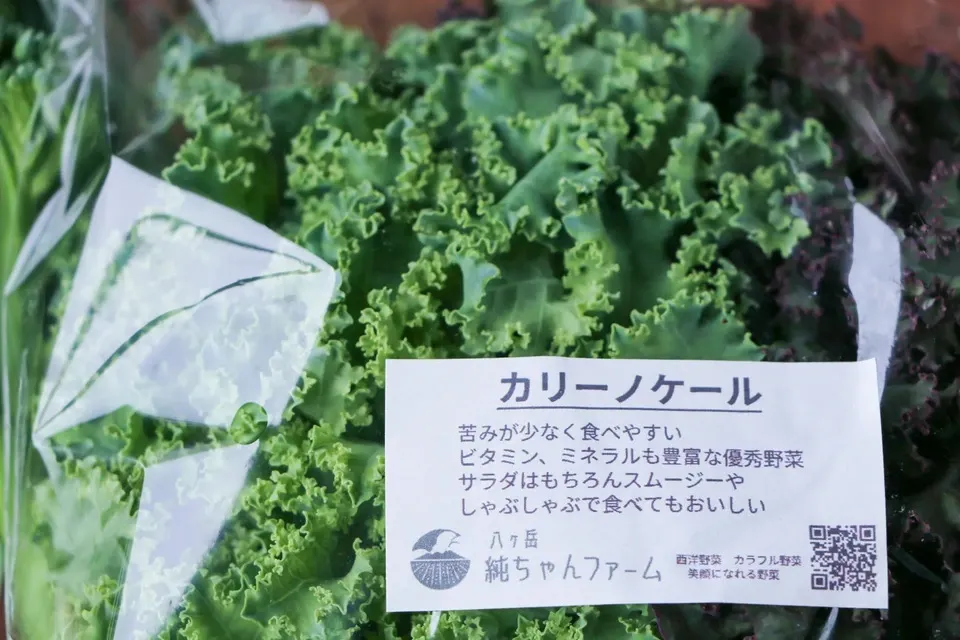 農薬や化学肥料を使わずにで育てた】季節の彩り野菜セット（送料込み