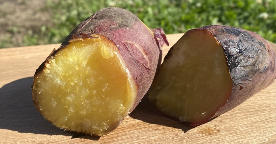 とっても甘ーい 八ヶ岳の自然が育んだサツマイモ食べ比べセット 3