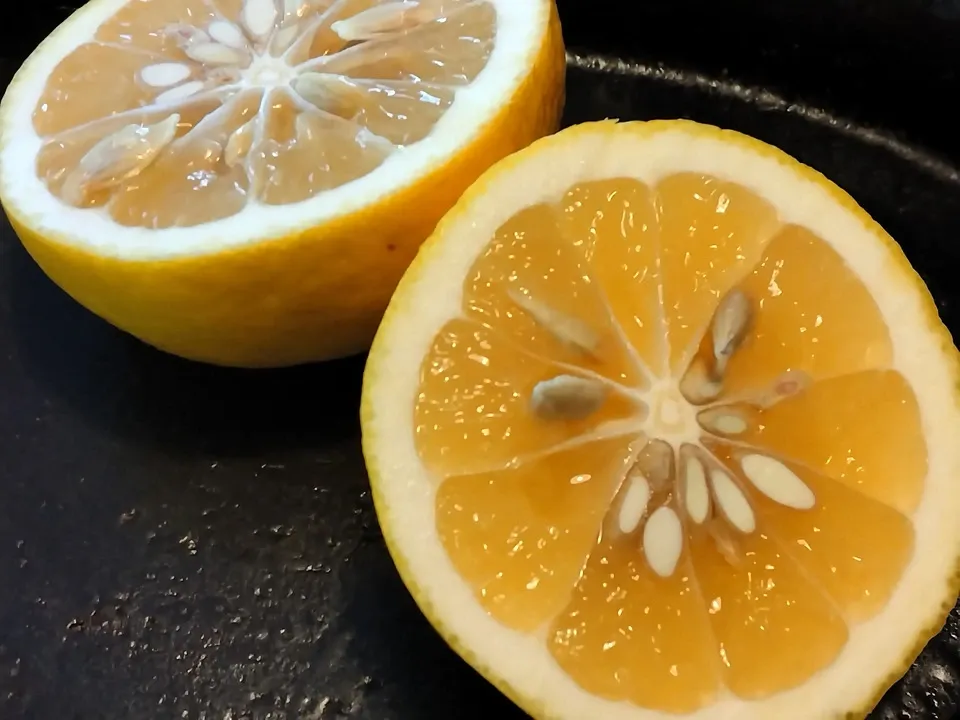 小夏と生姜セット【農薬・化学肥料 不使用】