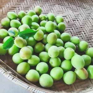 【お問い合わせ用】2026年度 愛知県産 無農薬栽培「生にんにく」 1kg 自然栽培にんにく 1kg 2024年度産 送料無料 無肥料 無農薬 自然栽培