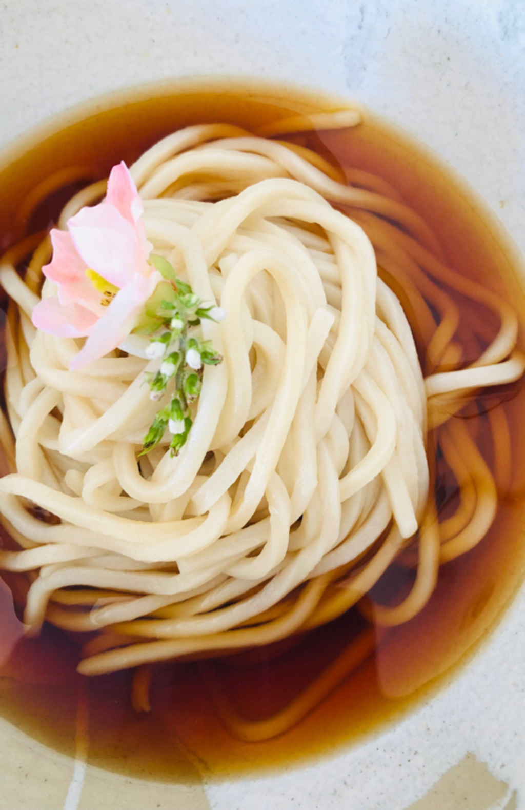 自然栽培小麦100％・海の精使用】≪ゆうはるうどん≫ 細麺・太麺
