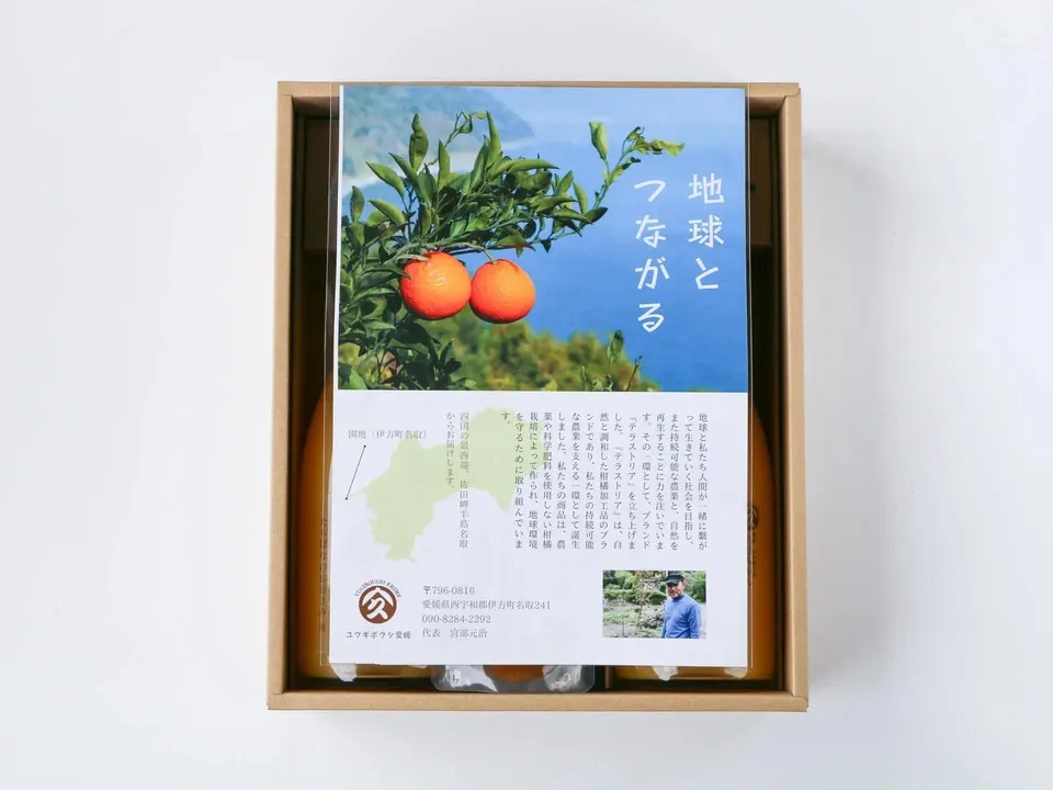 数量限定!初夏の季節にぴったり♪果汁あふれる甘酸っぱくてほろ苦い♪佐田岬生まれの柑橘「サンフルーツ」愛媛県産・農薬・除草剤・肥料不使用栽培