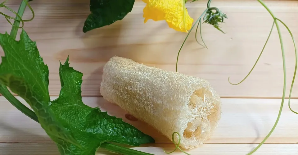 手作り<有機へちまキッチン用たわし>3点セット